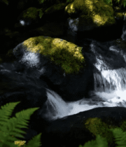 山间小溪流过覆满青苔的岩石4656#横屏 