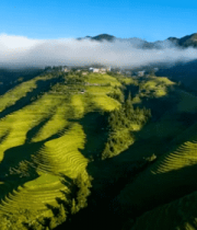 山间梯田与云雾风光2678#横屏 