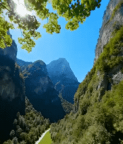 山谷森林自然风光620#横屏 