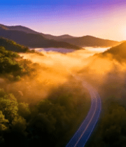 山间公路日出森林云海景象2350#横屏 