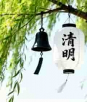  柳树枝上挂清明灯笼与风铃36#横屏 	 