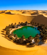 沙漠中绿洲航拍全景2765#横屏 