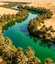 沙漠中河流与棕榈树景观3882#横屏 