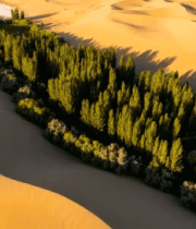 沙漠中的绿洲鸟瞰景象3157#横屏 