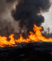 森林火灾现场全景4254#横屏 