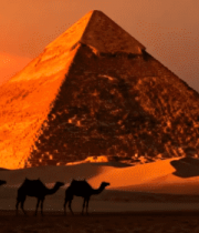 沙漠金字塔旁骆驼日落景象3597#横屏 