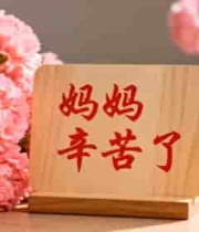  康乃馨旁妈妈辛苦了木质牌素材744#横屏 	 