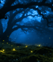 森林夜景中飞舞的萤火虫3568#横屏 