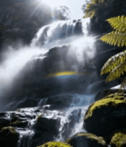 森林中瀑布自然景观(3)4508#横屏 