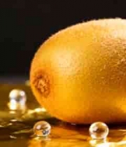 森林中溪流自然风光(1)4548#横屏 