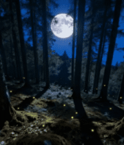 森林月夜景色5265#横屏 