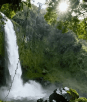 森林夜空下的璀璨星空2652#横屏 