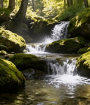 森林中的溪流瀑布景观3895#横屏 