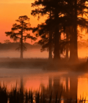 森林日落时分自然风光2829#横屏 