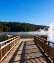  湖边森林木栈道风景342#横屏 	 