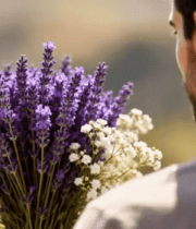 男子手持薰衣草花束4489#横屏 