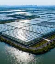  航拍农业温室与水域景观583#横屏 	 