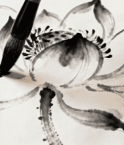 毛笔绘制水墨荷花画面5154#横屏 