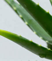 林间阳光照耀的山间小路3823#横屏 