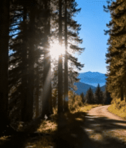 林间阳光照耀的山间小路3823#横屏 