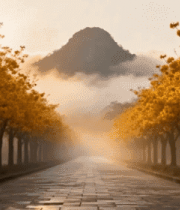 林荫道路自然风光素材4846#横屏 