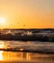  海边日落海浪景象1257#横屏 	 