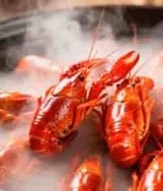  锅中热气腾腾的小龙虾1335#横屏 	 