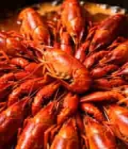  锅中烹制的小龙虾497#横屏 	 