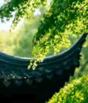  古建筑屋檐与绿叶景观2177#横屏 	 