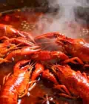  锅中烹饪的麻辣小龙虾554#横屏 	 