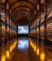  古典风格图书馆全景351#横屏 	 