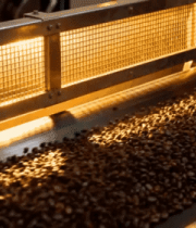 咖啡豆传送带特写4314#横屏 