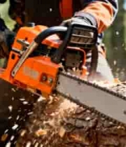  工人森林中使用电锯切割木材463#横屏 	 - 