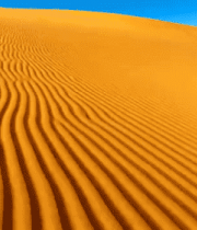 金黄沙漠沙丘特写2338#横屏 
