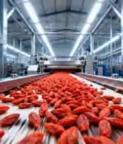  工厂枸杞流水线生产场景2916#横屏 	 