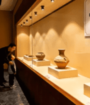 家长带孩子博物馆参观文物3112#横屏 