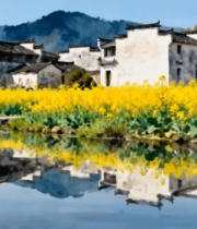 徽派建筑旁油菜花田风景4252#横屏 