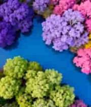  多彩树林河流俯瞰景观158#横屏 	 