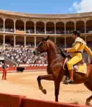  斗牛场中骑马的斗牛士549#横屏 	 -