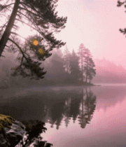 湖畔森林日出自然风光393#横屏 