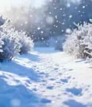  冬日森林雪景小道1391#横屏 	 -