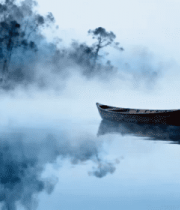 湖面白睡莲与荷叶自然景象5487#横屏 