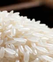  大米微距特写素材394#横屏 	 - 