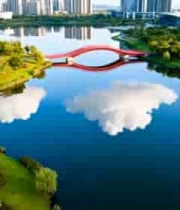  城市湖泊桥梁与现代建筑景观1111#横屏 	 