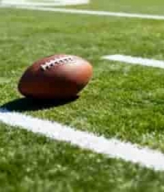  草地上的橄榄球特写(1)2687#横屏 	 - 