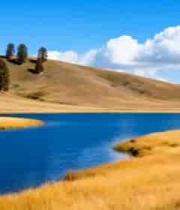  草原湖泊边人物漫步场景2127#横屏 	 -