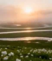  草原河流日出全景595#横屏 	 -