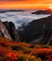  壮丽山河日出云海3260#横屏 	 