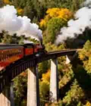  蒸汽火车穿越秋日森林3153#横屏 	 -