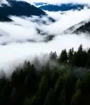  云雾缭绕山间景观3117#横屏 	 -